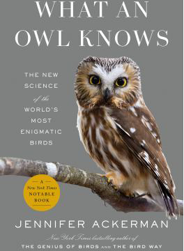 WHAT AN OWL KNOWS