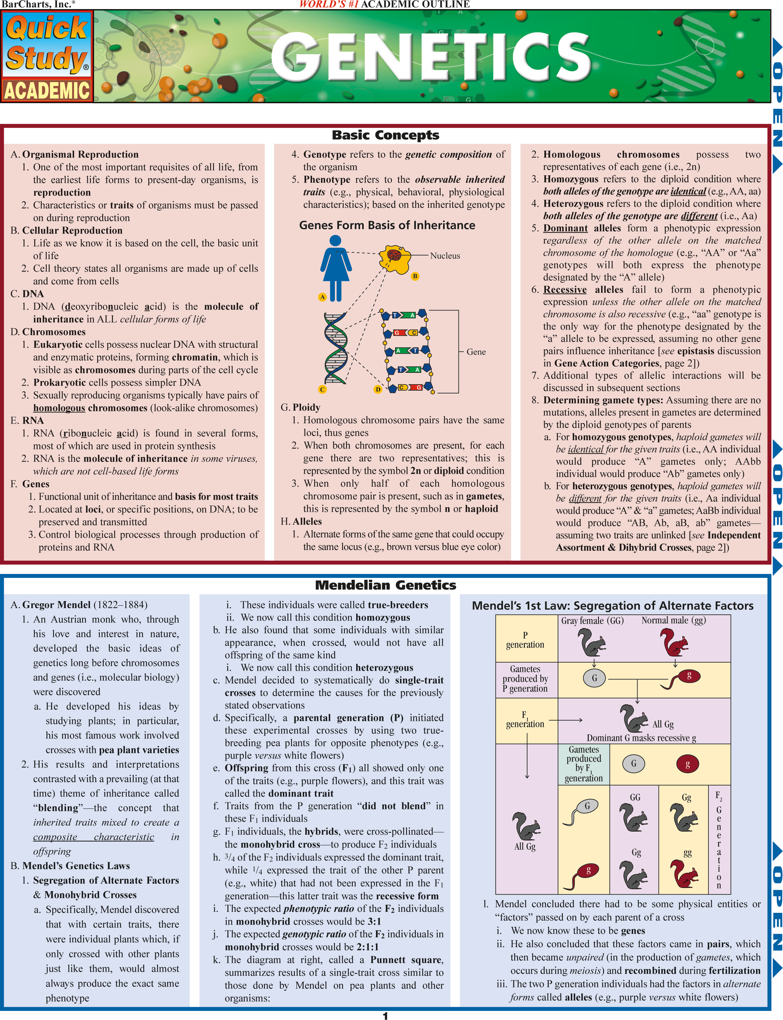 Genetics Laminate Reference Chart