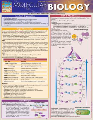 Molecular Biology