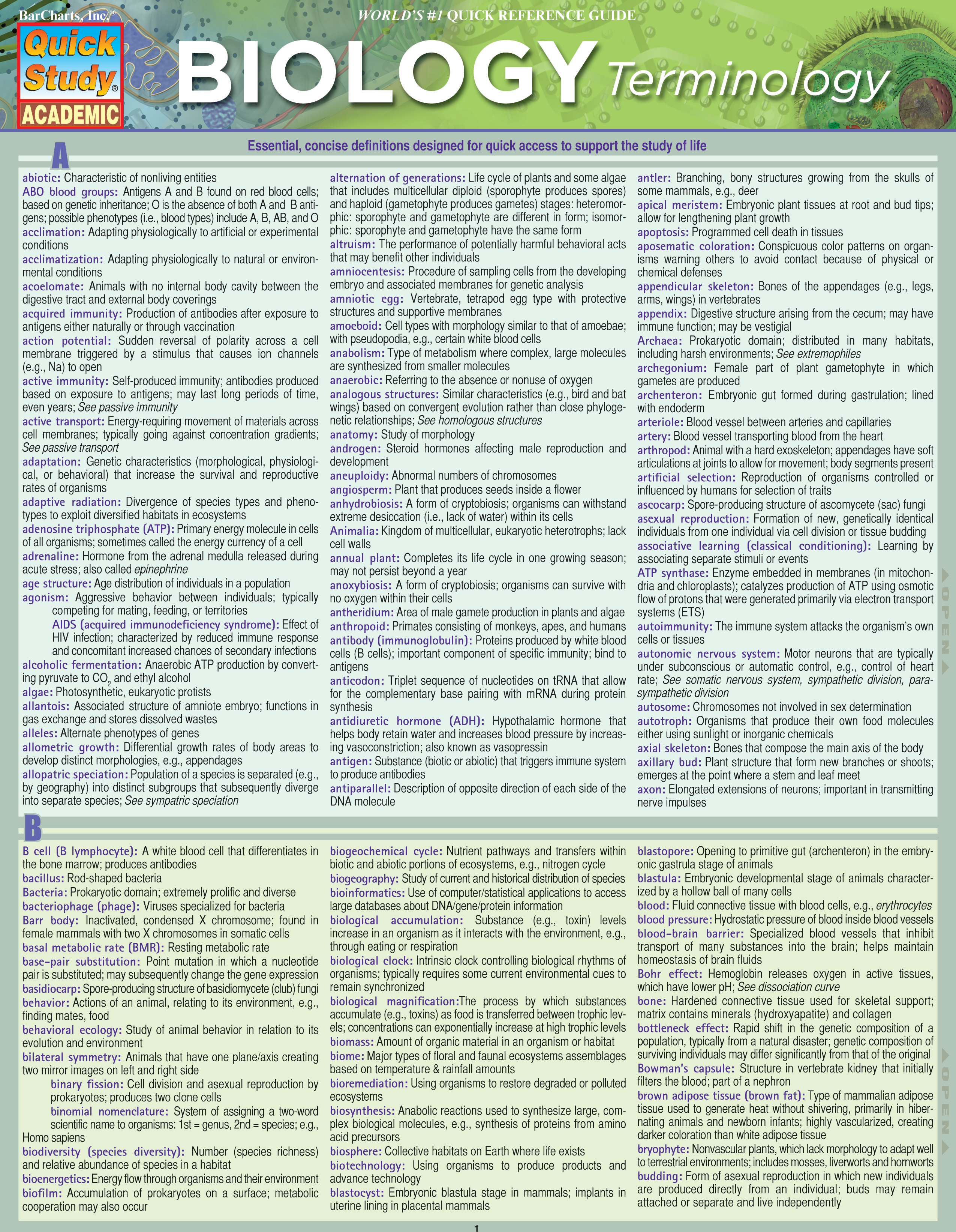 Biology Terminology