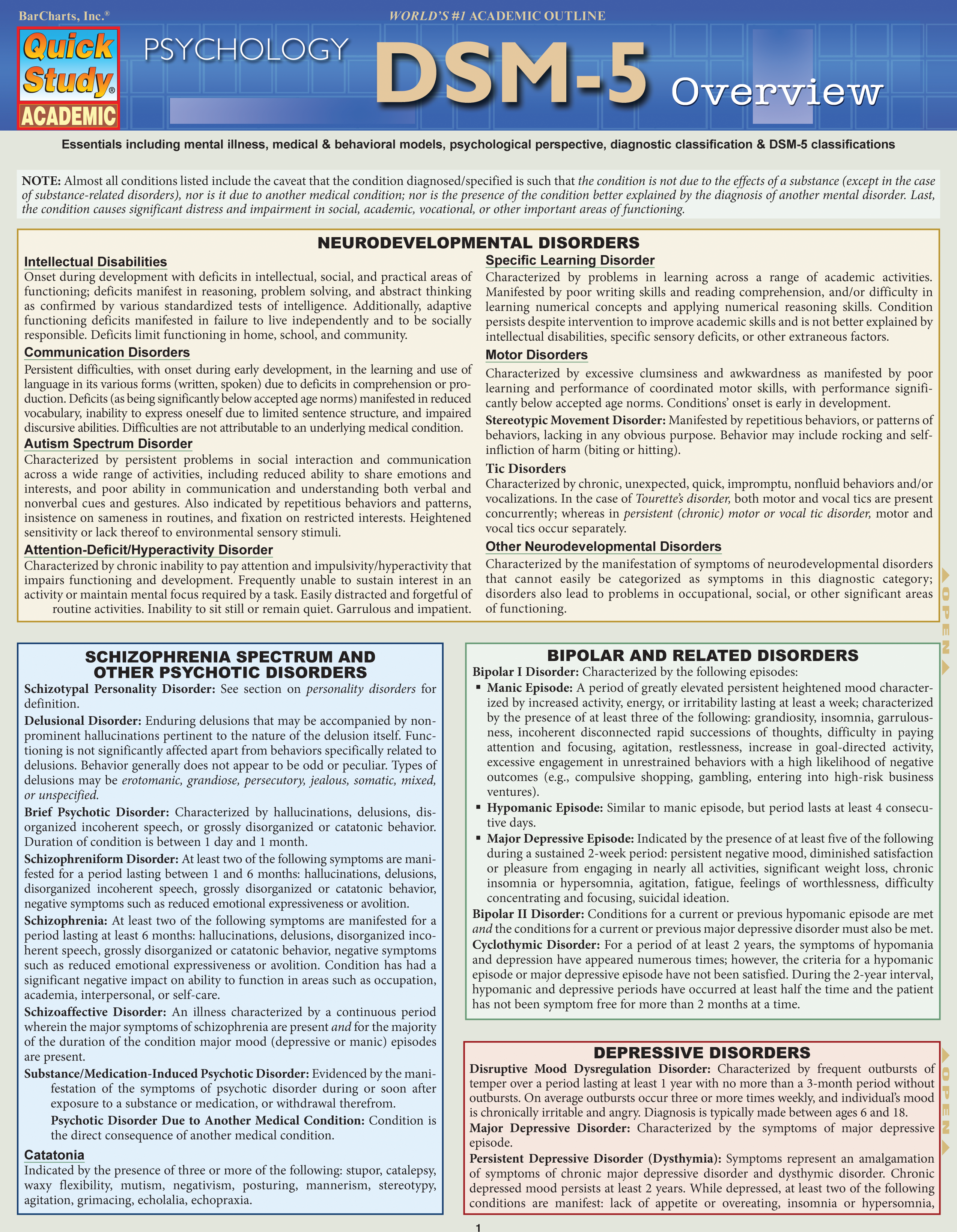DSM-5 Overview