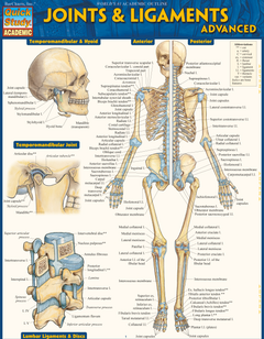 Joints & Ligaments Advanced