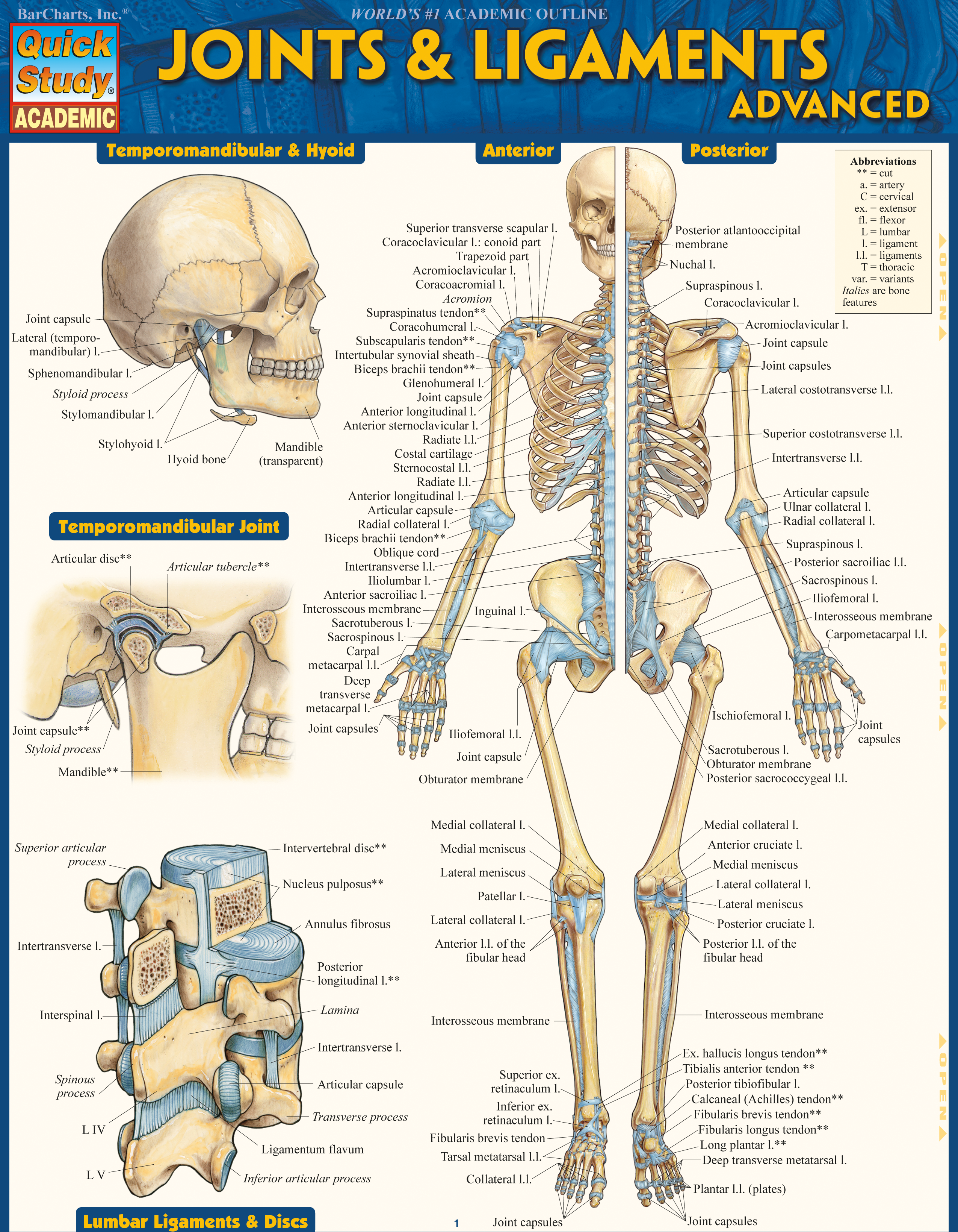 Joints & Ligaments Advanced
