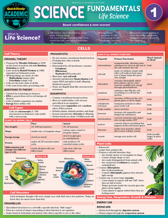 Science Fundamentals 1