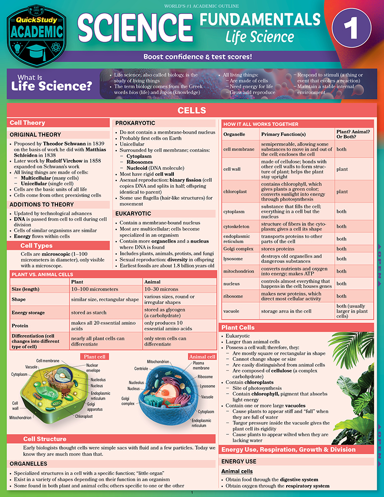 Science Fundamentals 1
