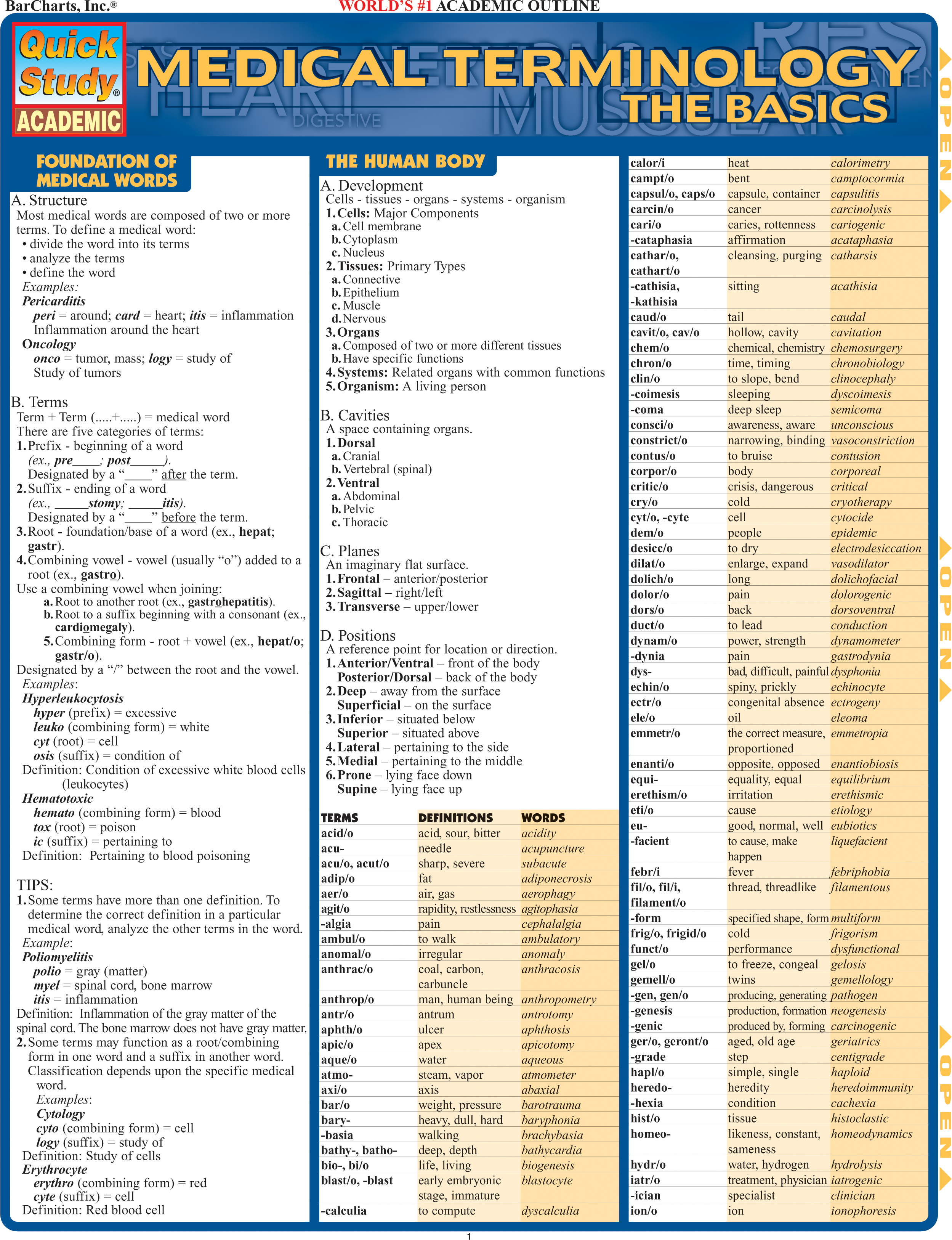 Medical Terminology:The Basics