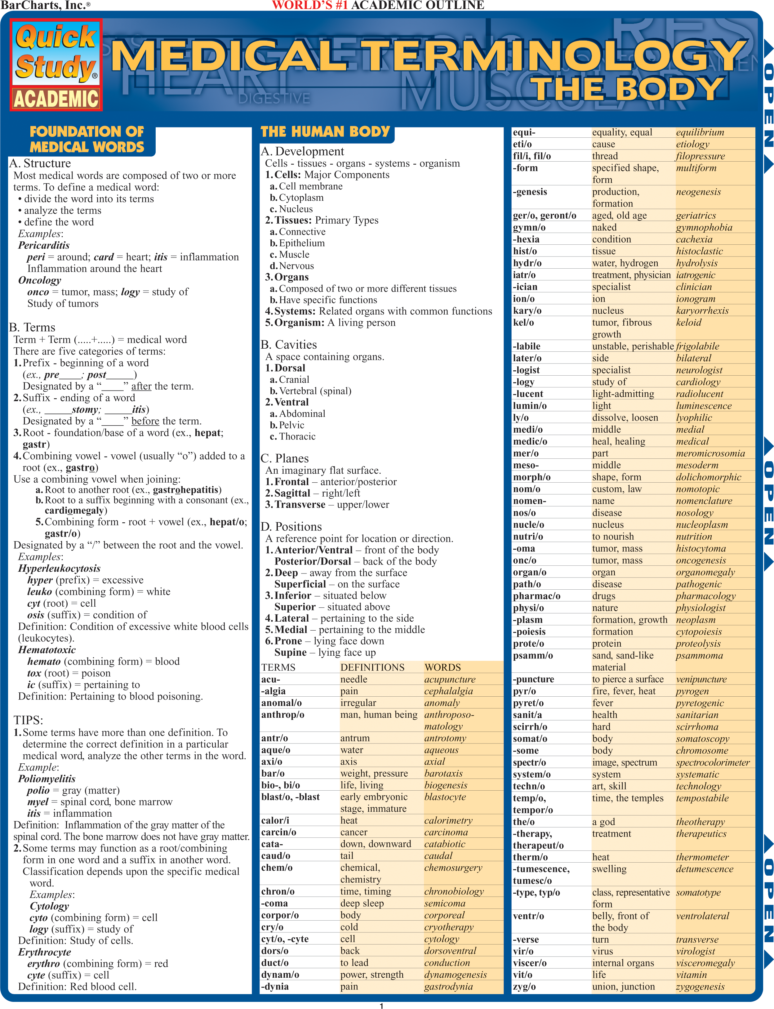Medical Terminology: The Body