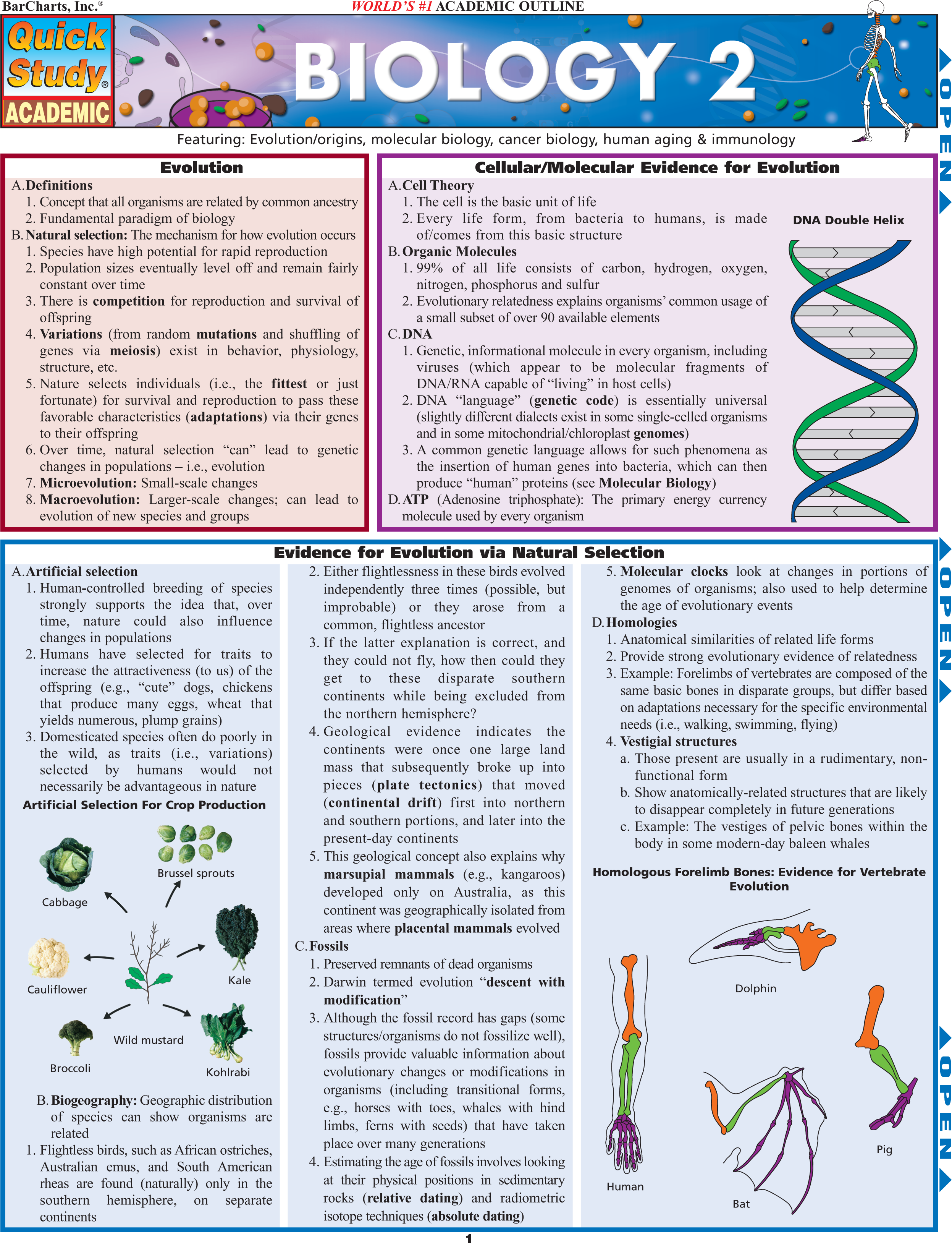 Biology 2 Laminate Reference Chart